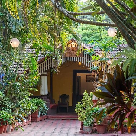 Palm Grove Cottages - Leisure Resort 베나울림 외부 사진
