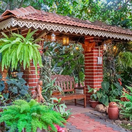 Palm Grove Cottages - Leisure Resort 베나울림 외부 사진