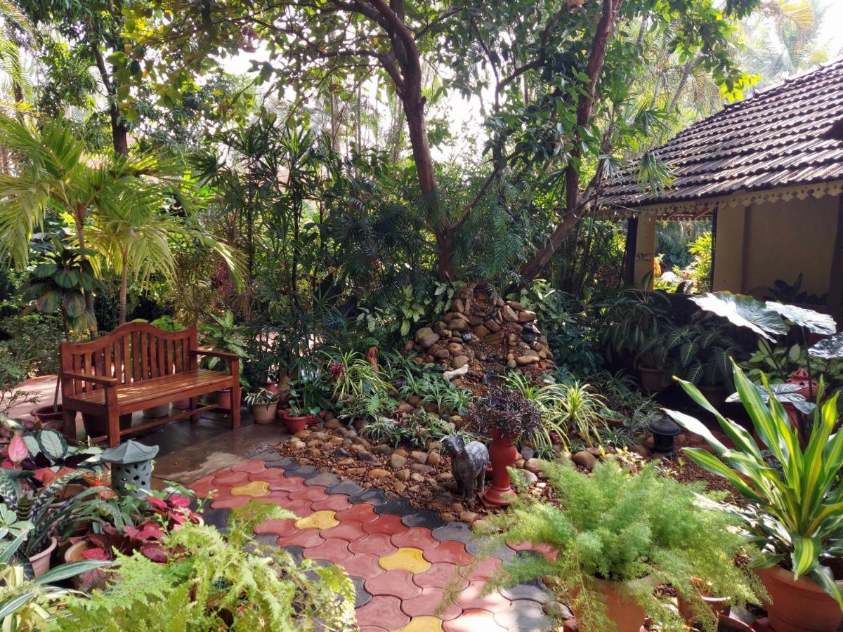 Palm Grove Cottages - Leisure Resort 베나울림 외부 사진