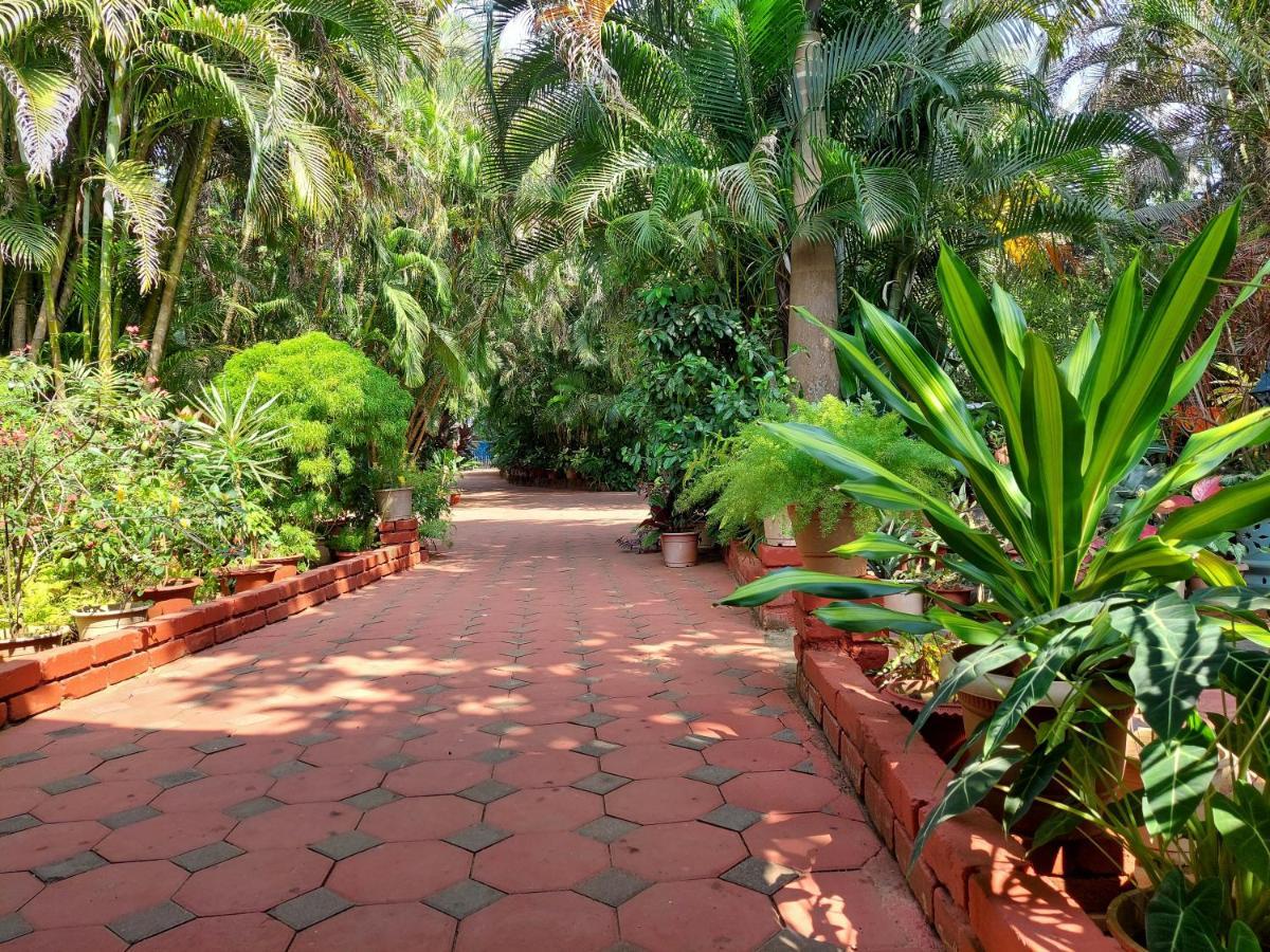 Palm Grove Cottages - Leisure Resort 베나울림 외부 사진