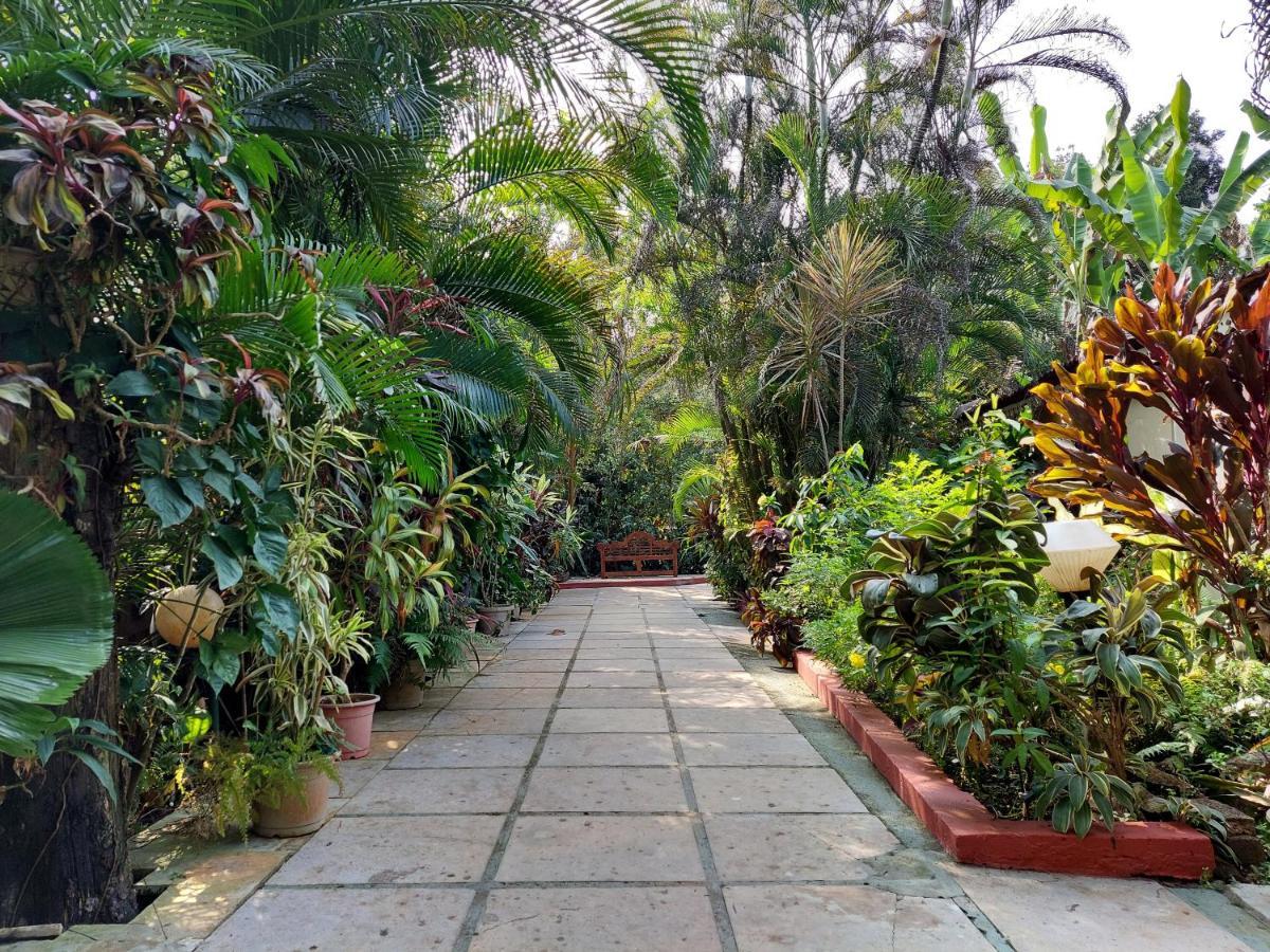 Palm Grove Cottages - Leisure Resort 베나울림 외부 사진