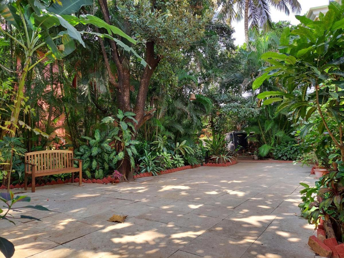 Palm Grove Cottages - Leisure Resort 베나울림 외부 사진