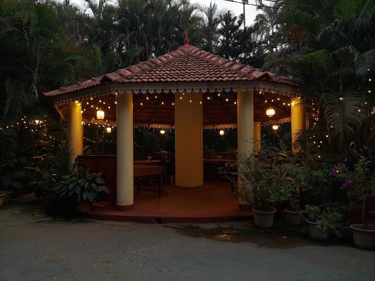 Palm Grove Cottages - Leisure Resort 베나울림 외부 사진