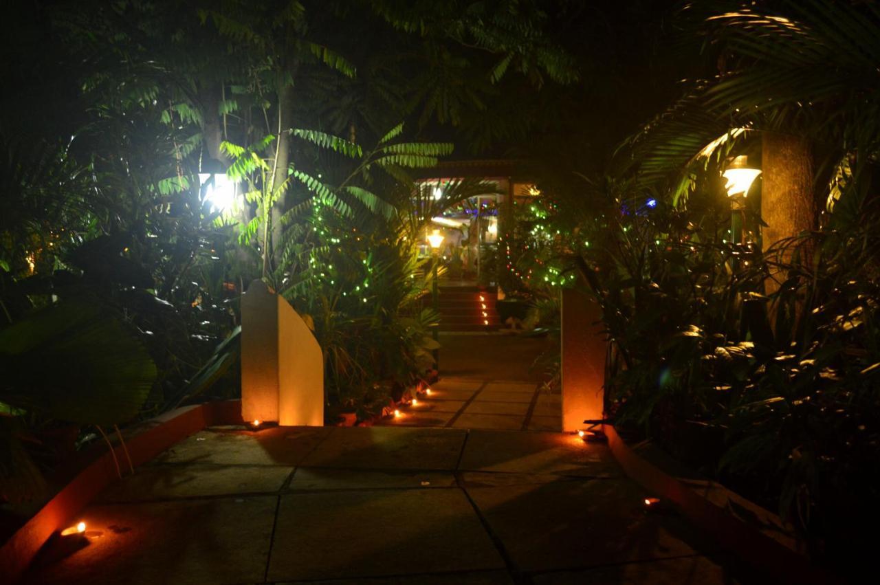 Palm Grove Cottages - Leisure Resort 베나울림 외부 사진