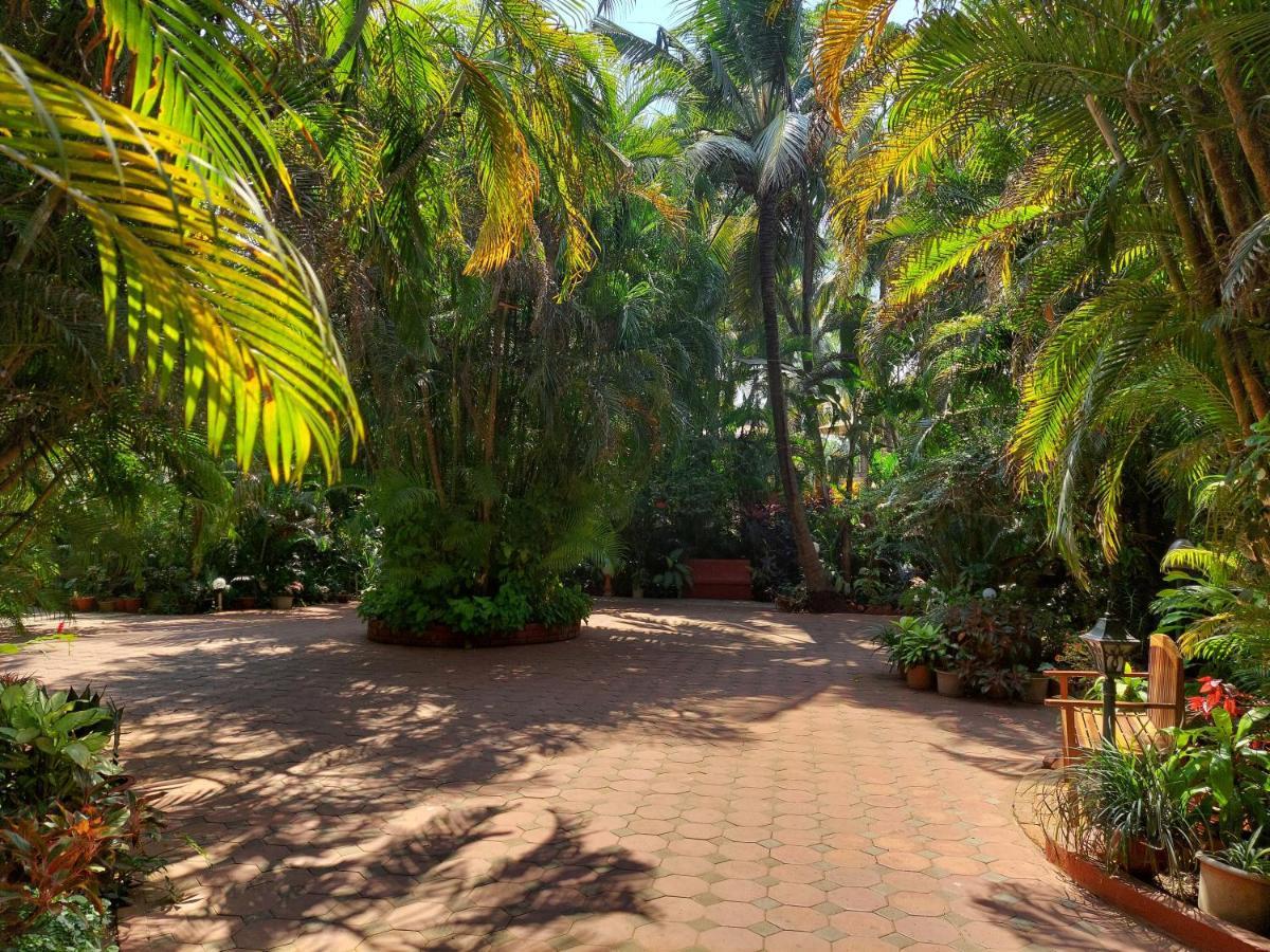 Palm Grove Cottages - Leisure Resort 베나울림 외부 사진