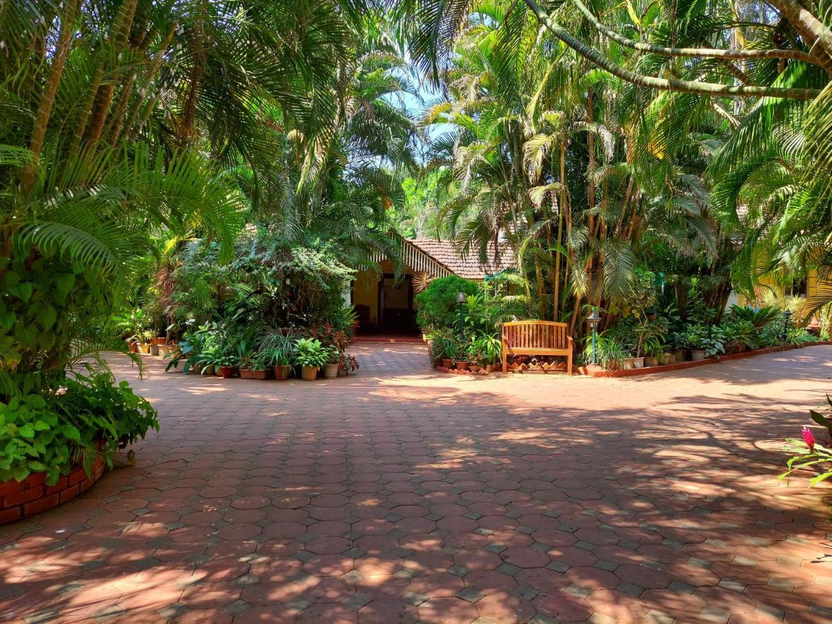 Palm Grove Cottages - Leisure Resort 베나울림 외부 사진
