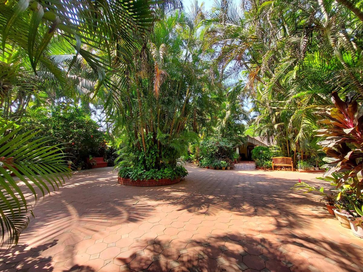Palm Grove Cottages - Leisure Resort 베나울림 외부 사진