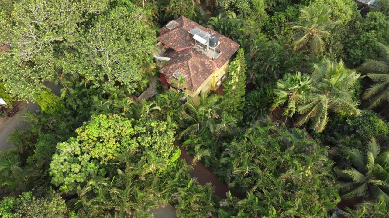 Palm Grove Cottages - Leisure Resort 베나울림 외부 사진