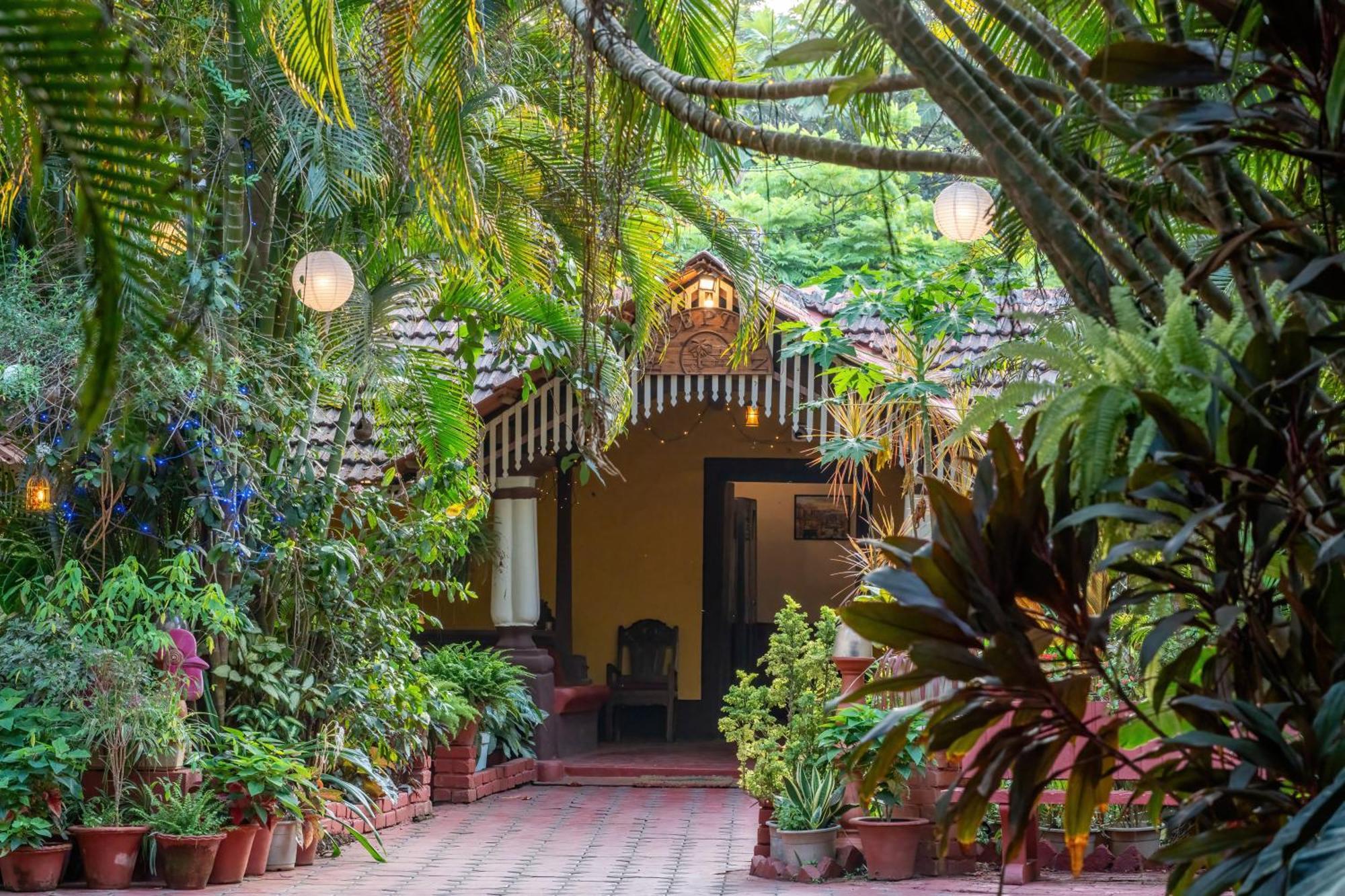 Palm Grove Cottages - Leisure Resort 베나울림 외부 사진