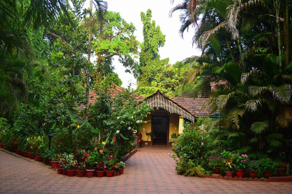 Palm Grove Cottages - Leisure Resort 베나울림 외부 사진