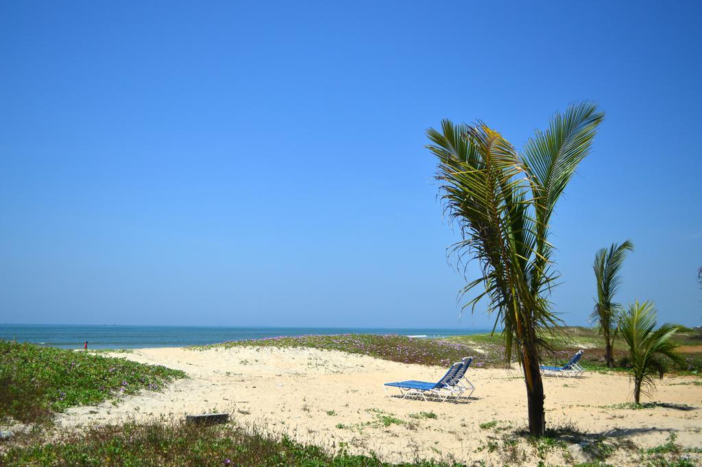 Palm Grove Cottages - Leisure Resort 베나울림 외부 사진