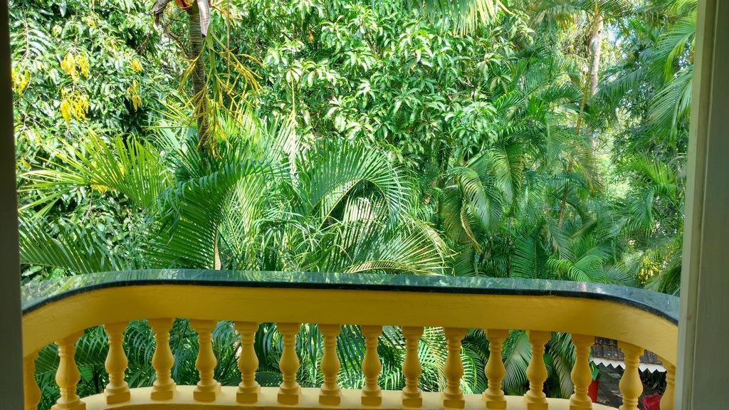 Palm Grove Cottages - Leisure Resort 베나울림 외부 사진