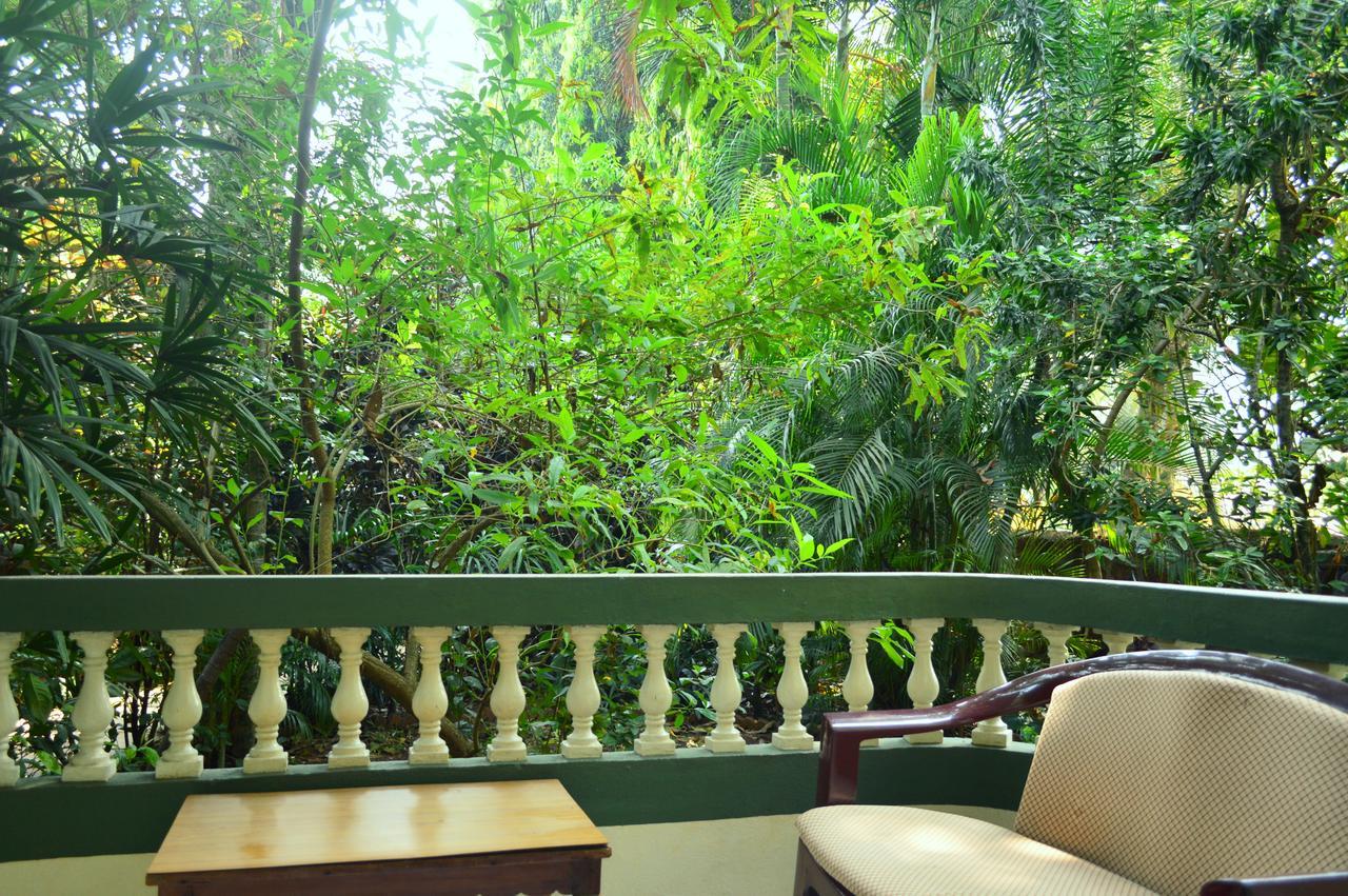 Palm Grove Cottages - Leisure Resort 베나울림 외부 사진