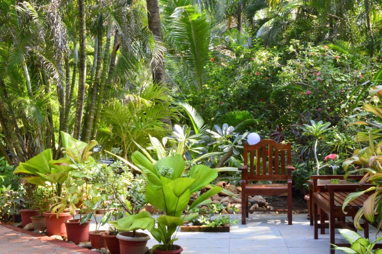 Palm Grove Cottages - Leisure Resort 베나울림 외부 사진