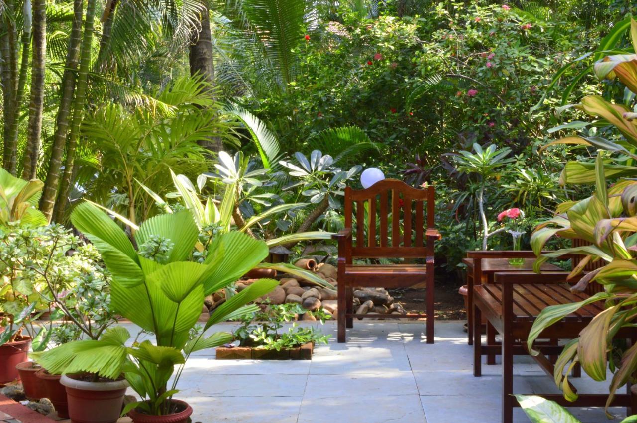 Palm Grove Cottages - Leisure Resort 베나울림 외부 사진